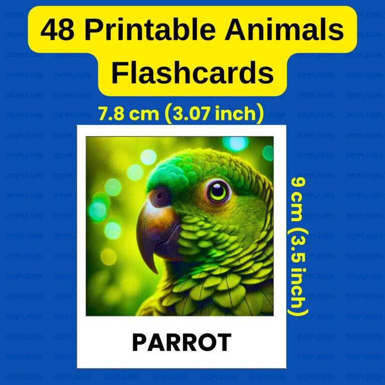 48 Printable Realistic Animal Flashcards to Teach English – Farm, Forest, Sea, Birds | Preschool ESL Learning PDF | Montessori
