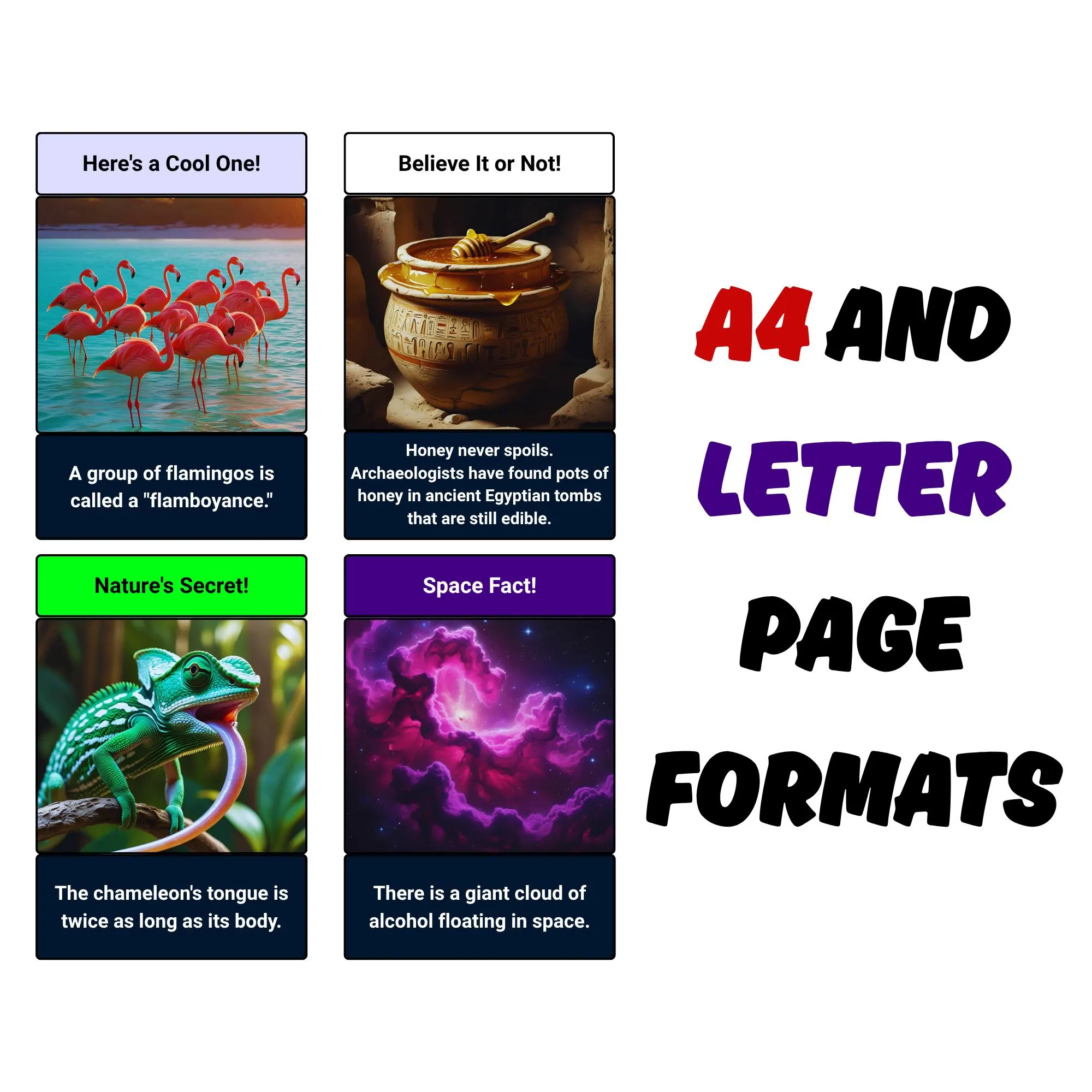 150 Fun Facts Flashcards: Educational Printable Cards (Digital Download) - Image 9